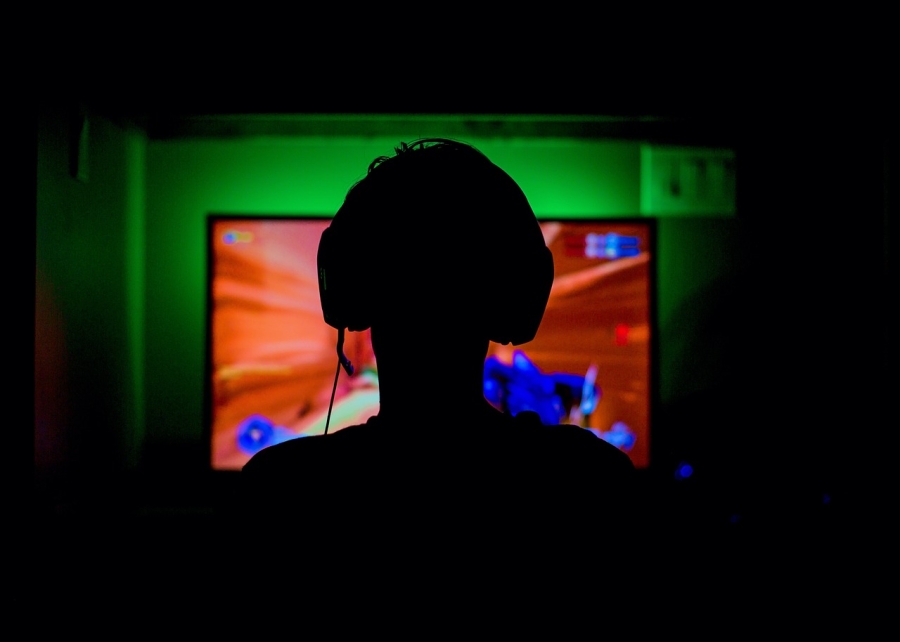 Video Game Industry