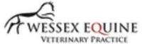 Equine vet surgeon