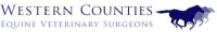 Equine vet internship