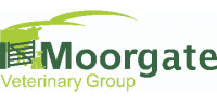 Veterinary surgeon - devon