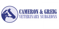 Mixed practice or small animal vet