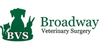 Veterinary surgeon