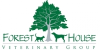 Small animal veterinary surgeon