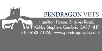 Mixed vet - cumbria