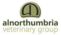 New graduate veterinary surgeon