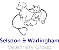 New graduate vet