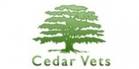 New graduate vet