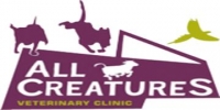 New grad vet