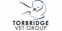 New graduate veterinary surgeon