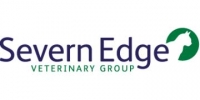 Small animal vet