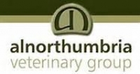 Equine veterinary surgeon