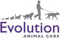 Veterinary surgeon