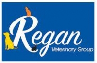 Small animal or consult only vet