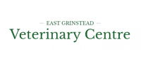 Registered veterinary nurse