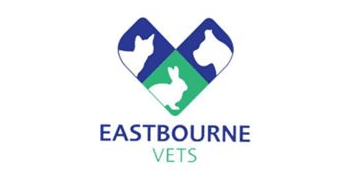 Veterinary surgeon