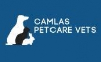 Registered veterinary nurse,  month maternity contract, part-time