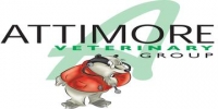 Registered veterinary nurse