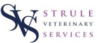 Mixed veterinary surgeon