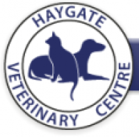 Small animal vet