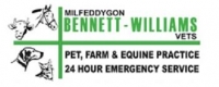 Large animal / mixed veterinary surgeon