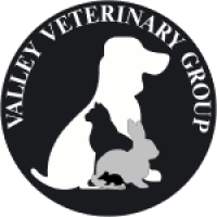 Vet