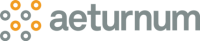 Senior software engineer - reactjs at aeturnum