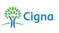 Financial data analyst