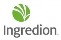Senior process engineer