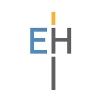 Software analyst - blitz