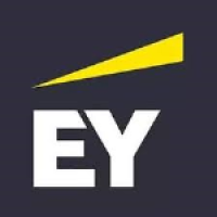 Digital architecture – manager (solution architect)