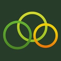 Lead architect