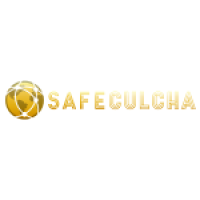 Cyber security consultant