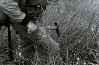 Geologist