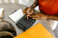 Accounting economist