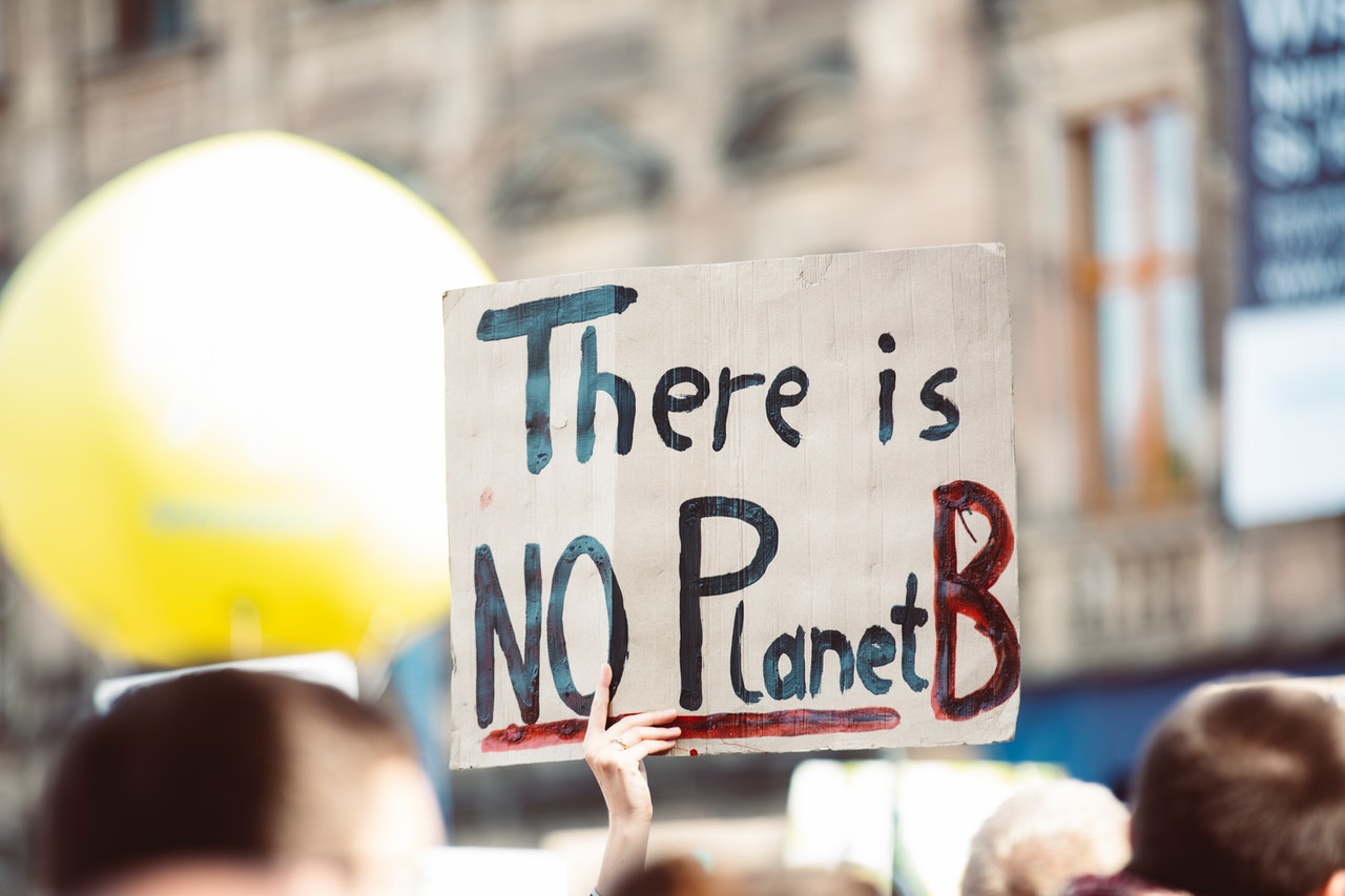 Climate change consultant