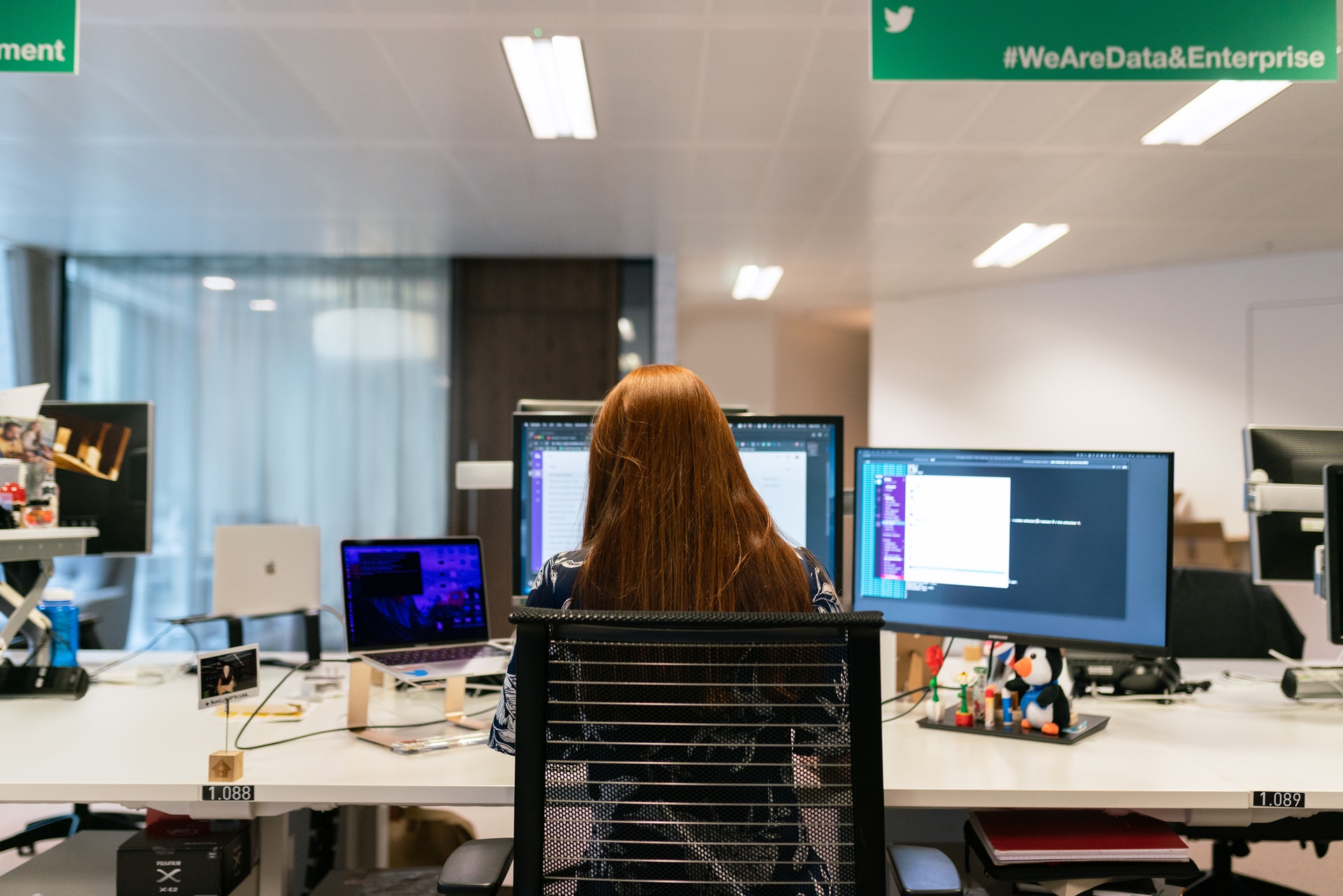 Net solution specialist - in center