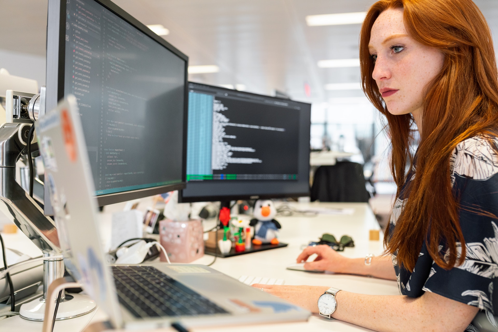 Senior software engineer developer